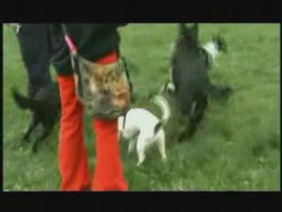 Balade rescue