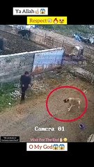 MashAllah ☝ Greatest Save  #shorts #status #short