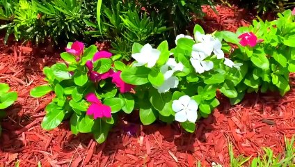 Nastya and dad are learning the alphabet