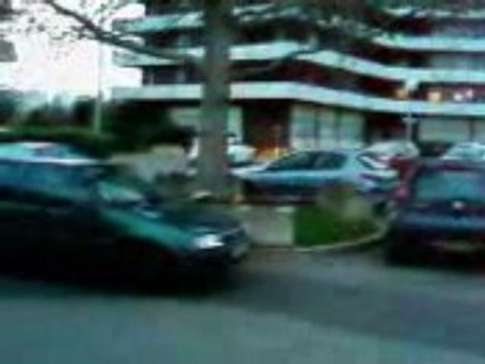 GamOs A L O.S.S FloTyer Criminel