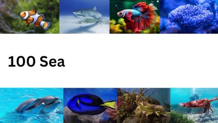 Kids Guide to Sea Animals | 100 Sea Creatures name to Learn | 100 Sea Animals name to Learn