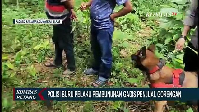 Kantongi Identitas Terduga Pelaku Pembunuhan Gadis Penjual Gorengan di Padang, Polisi Terus Kejar