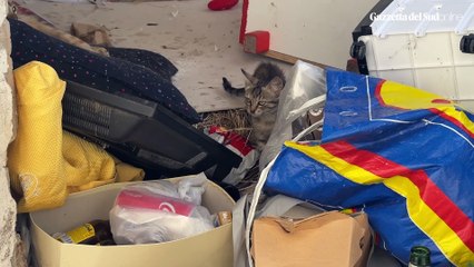 Messina, da baracca a discarica e covo dello "sballo": "Portateci via da questo inferno, abbiamo paura"