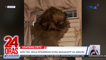 24 Oras Weekend Part 2 - Puppy nakalulon ng barya; KATSEYE bibisita sa Pilipinas; Funny furbaby antics; atbp.