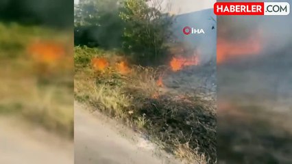 D-100'de Ağaçlık Alanda Yangın: Utanç Verici Çöp Manzarası
