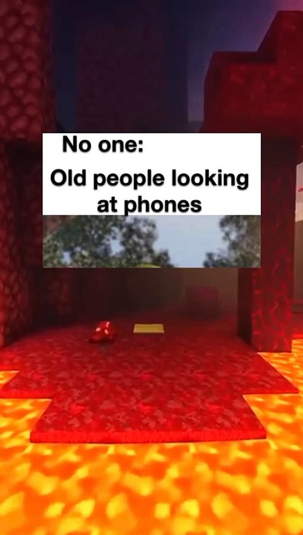 Funny memes