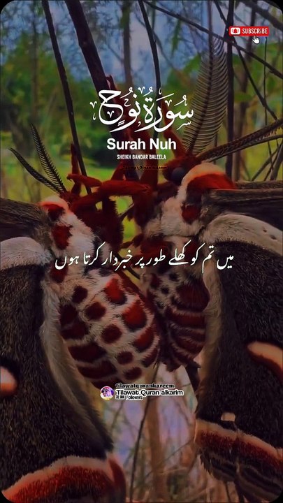 Only on translation Quran e Majeed