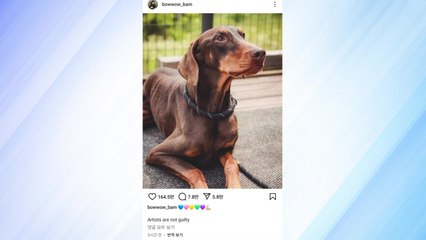 BTS 정국 "아티스트는 죄 없다"...뉴진스 사태 메시지? / YTN