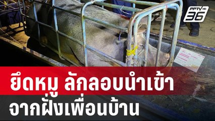 ยึดหมู ลักลอบนำเข้าจากฝั่งเพื่อนบ้าน  | เข้มข่าวค่ำ | 14 ก.ย. 67