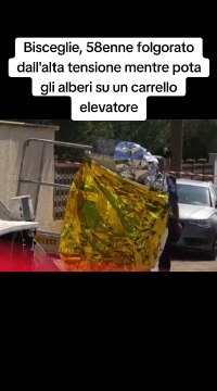 Bisceglie, 58enne folgorato dall'alta tensione mentre pota gli alberi su un carrello elevatore #morto #tragedia #bisceglie #molfetta #altatensione #fyp #daytime #socialnews #news #tiktoknews #viral #social #storytime #foryoupage #settembre2024 #cronaca