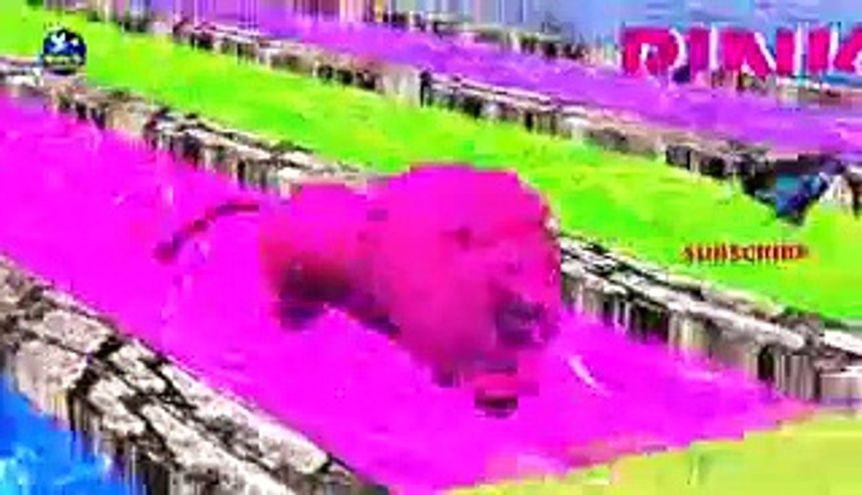 Unique Colors  Wild  Animals