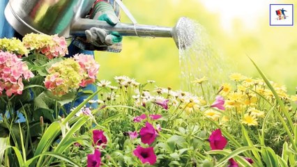 The Vital Role of Water 💧