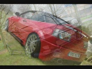 Meeting de villiers en plaine (79)