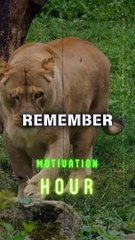 Embrace Growth, Rise Above Challenges, and Strengthen from Within