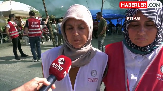 TİP'ten Polonez İşçilerine Destek: Dayanışma Şenliği Düzenlendi