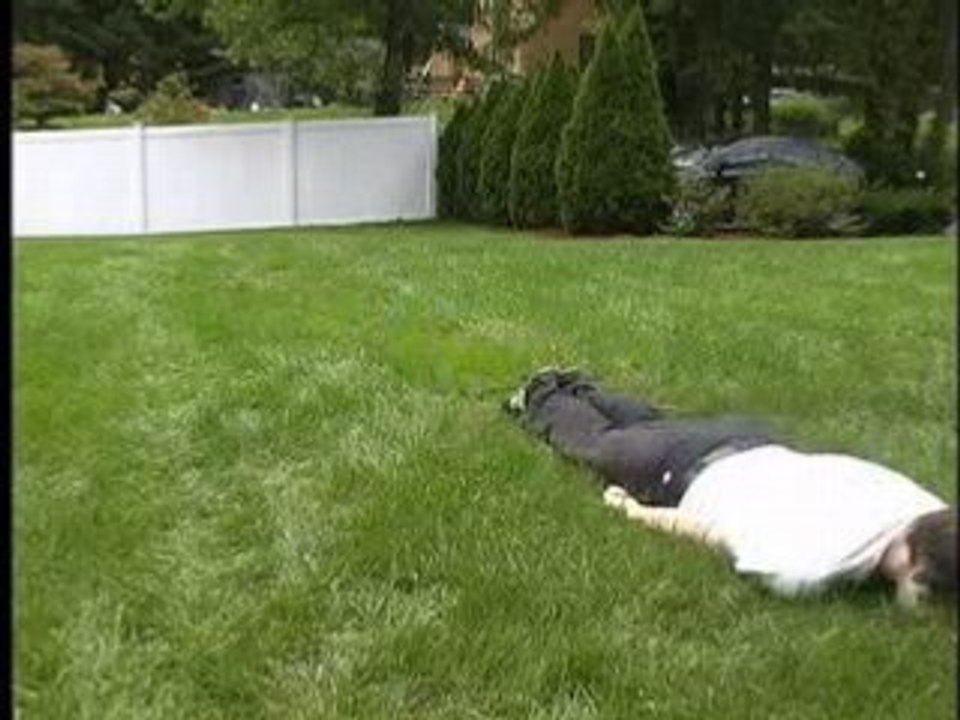 Stop Motion