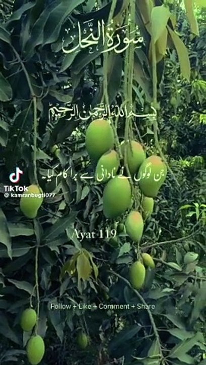 Surah Al Nahal