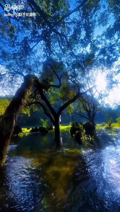 iphone under water photography