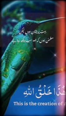 Islami video#hadees shrif#emotinoal word#shortsvideo #vairalvideo