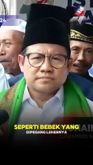 CAK IMIN TANGGAPI PERNYATAAN MAHFUD '' YANG MUDAH DIKENDALIKAN SEPERTI BEBEK YANG DIPEGANG LEHERNYA