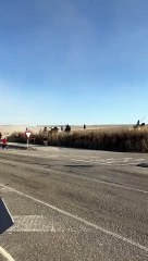 Susto en el encierro de Arrabal de Portillo