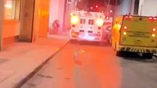 Perrito corre 20 cuadras tras una ambulancia, quería ayudar a su dueño