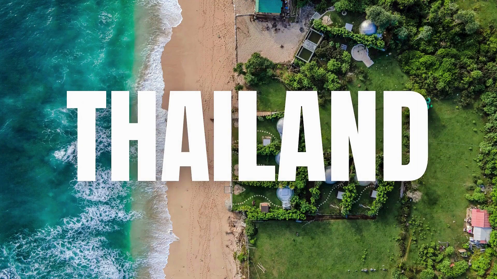 Canva Animation Tutorial