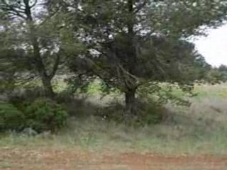 Motocross Moi partit 6