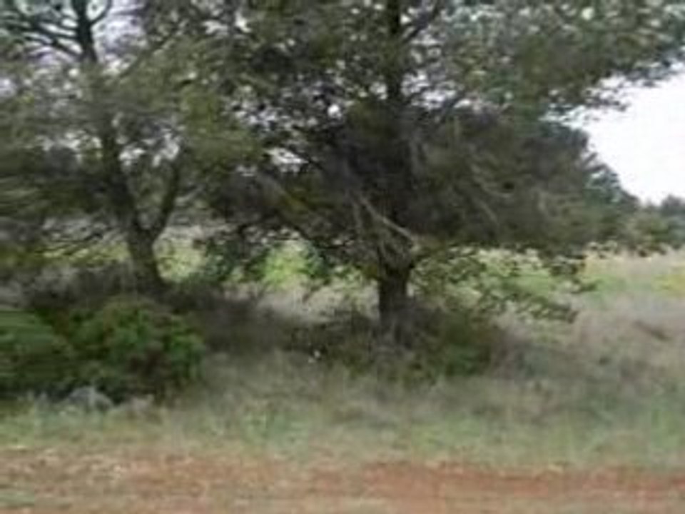 Motocross Moi partit 6