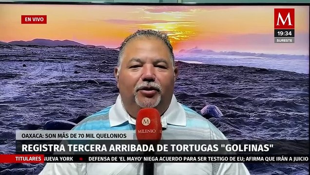 Registran tercera arribada de tortugas 'golfinas' a Oaxaca