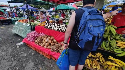 (343) Einkauf vom Wochenmarkt | AUSWANDERN nach LATEINAMERIKA