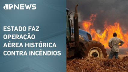 Queimadas geram prejuízo de R$ 2 bilhões em SP