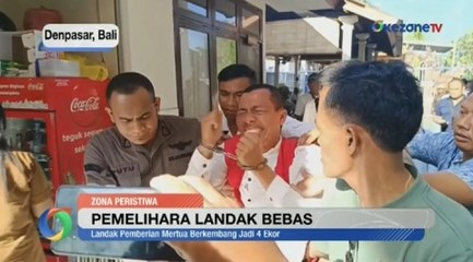 Jaksa Tuntut Bebas I Nyoman Sukena yang Pelihara Landak Jawa