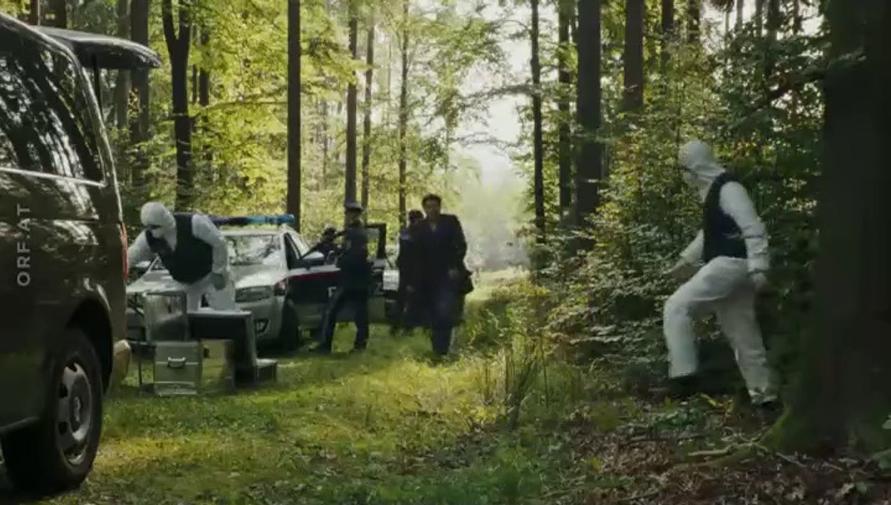 Landkrimi -21- Steirertod