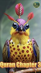 Al-Quran para number 3 full English translation recited by Qari Bilal Muaz