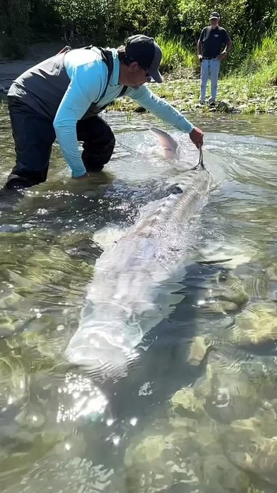 MAN CATCH A FISH,,,