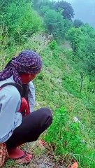 Pahadi view #nature#charwahe