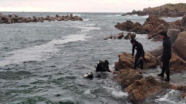 삼척 용화해변 20대 파도 휩쓸려 실종...수색 재개 / YTN