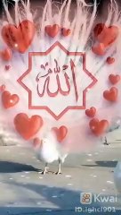 received_974494494319044