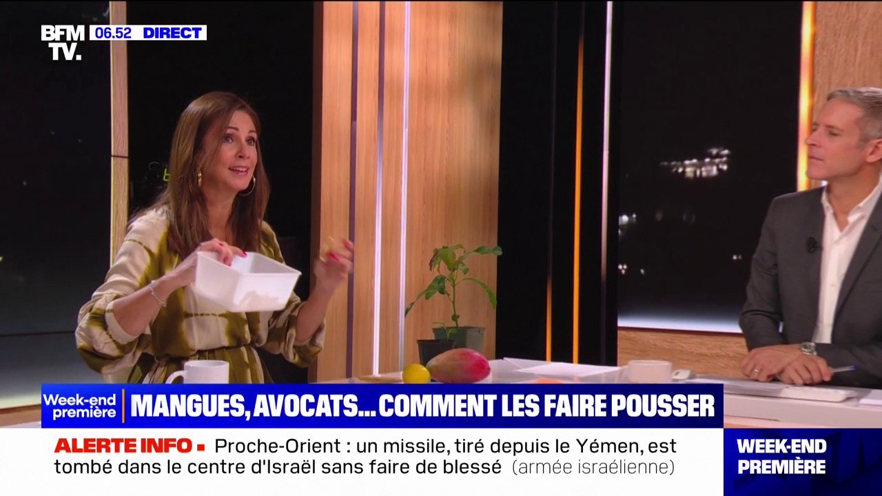 Mangues, avocats... Voici comment les faire pousser