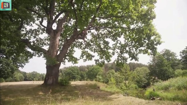 Soldier Boy(2019) Movie recap | Soldier Boy Original title: Soldatik