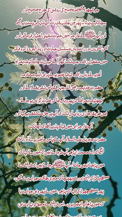 Quran Nazaal Kay Waqat | Sahih Bukhari Hadith No 3 | What's up Status |