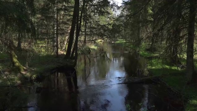 Viešvilės pažintinis takas