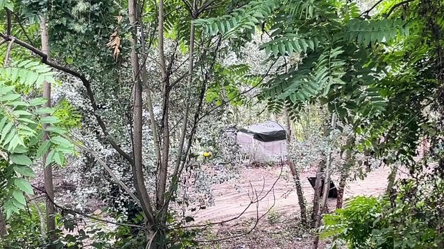 Tevere, degrado lungo le sponde: l'accampamento di baracche abusive sotto il ponte di corso Francia