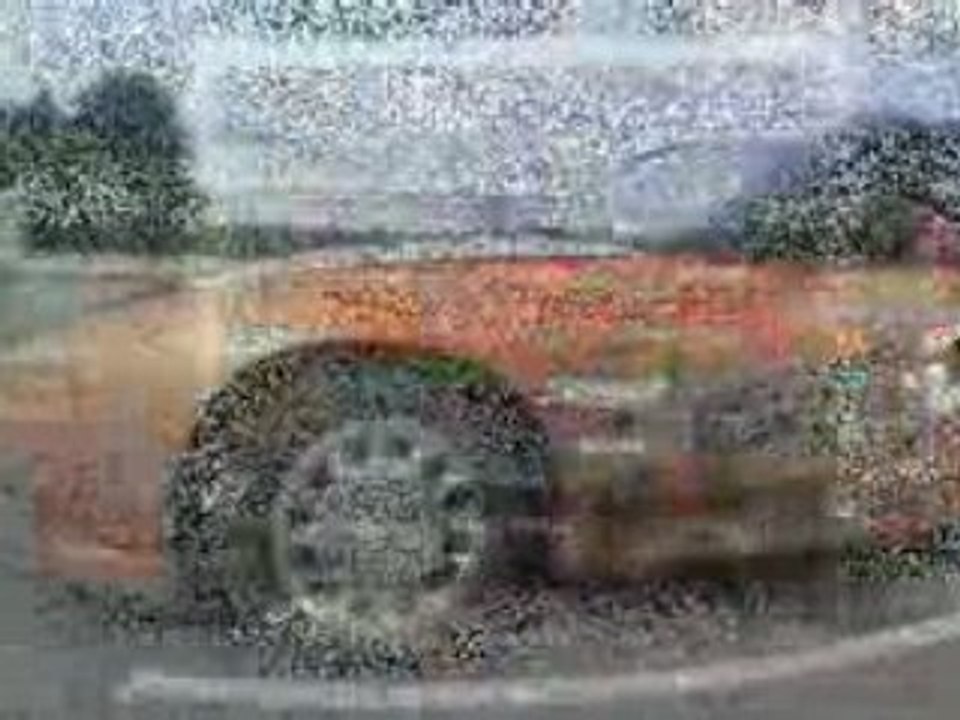 Naked bear drift session 1