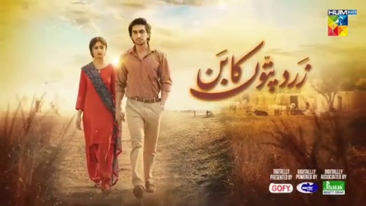 Zard Patton Ka Bunn - Ep 19 [CC] - 15th Sep 24 - Sponsor By Gofy Master Paints & Jhalak Beauty Cream