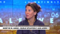 Anne-Isabelle Tollet en Iran : «Leur combat, elles le portent en elles»