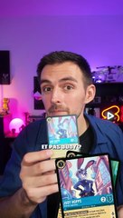 Les Secrets Cachés de Zootopie 