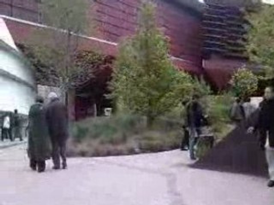 Quai Branly Exterieur