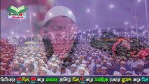 আজিব কণ্ঠ_ ক্বারী সাইদুল ইসলাম আসাদ। Qari Saidul Islam Asad Quran Recitation। Quran tilawat(360P)